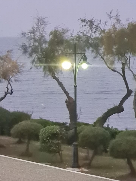 a31